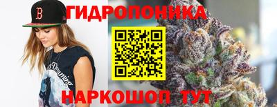 гидропоника Донской