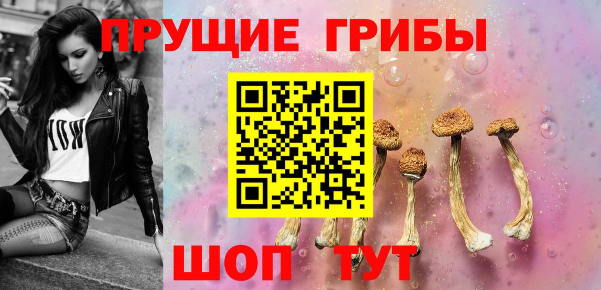 Псилоцибиновые грибы MAGIC MUSHROOMS  Галлюциногенные грибы Psilocybine cubensis  Мытищи  Вход с VPN 